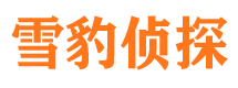 万荣捉小三公司